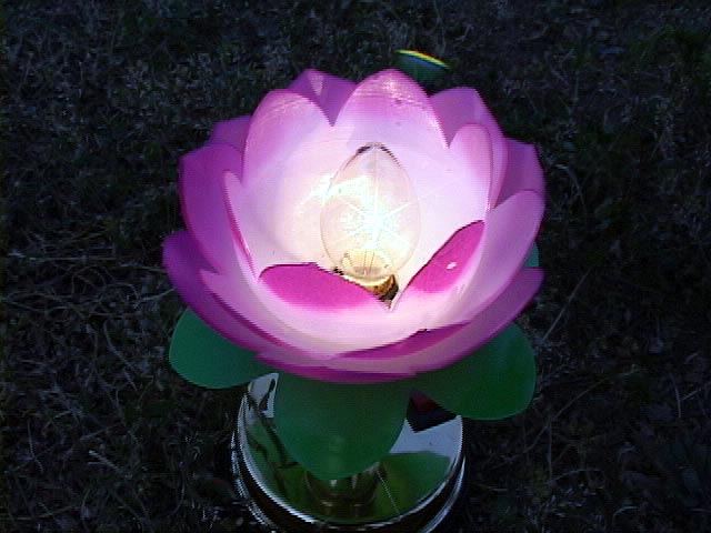 Lotus Flower Latern