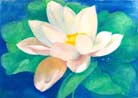Published on 8/16/2001 Drawings by Practitioners: The Time Will Come when the Flowers Bloom

