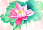 Published on 8/16/2001 Drawings by Practitioners: The Time Will Come when the Flowers Bloom


