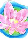 Published on 8/24/2002 Painting: Lotus Flower