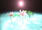 Published on 8/25/2002 Painting: Lotus Flowers in Other Dimensions