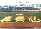 Published on 10/17/1998 Leshan Fa Conference, Sichuan in October,1998--the Chinese characters formed mean "Truthfulness-Compassion-Tolerance" 