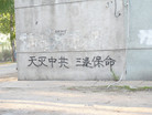 Published on 5/14/2009 ½ֵճ