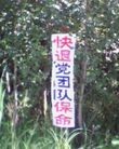 Published on 7/22/2009 ¶ʮմ½ۺϢһ