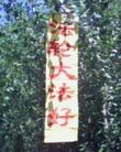 Published on 7/22/2009 ¶ʮմ½ۺϢһ