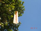 Published on 10/12/2012 ֹ,һʮʮմ½ۺϢ
