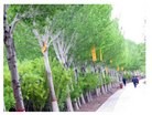 Published on 5/15/2014 ֹ,й人ɵȵسף編ִ 
