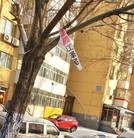 Published on 3/1/2016 ֹ,½صչ壨5 

