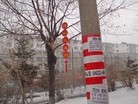 Published on 3/1/2016 ֹ,½صչ壨5 
