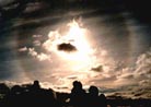 Published on 7/24/2001 Sydney to Canberra SOS Walk in Australia

