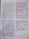 Published on 5/3/2016 ֹ,ʵũ񱻷Ƿͥ󡡴ǩҪͷ 

