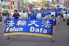 ֹ,ձᡡ"Ķ"ʮһ꣨ͼ - ִ - minghui.org