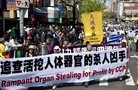 ֹ,ʢСȱࣨͼ - ִ - minghui.org
