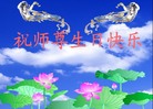 Published on 5/13/2008 󷨵ӹףʦտ