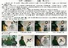 Published on 1/5/2002 Hongfa Posters: Brutal Persecution of Jiang Zemin’s Regime Against Falun Gong and its Practitioners

