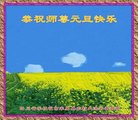 Published on 12/29/2017 ֹ,󷨵ӹףʦ(25)
