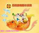 Published on 2/10/2013 ֹ,ݴ󷨵ӹףʦ(12)
