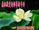 ֹ,󷨵ӹףʦã21
