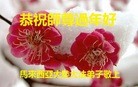 ֹ,ǡձӡȴ󷨵ӹףʦ
