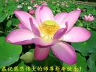 ֹ,ǡձӡȴ󷨵ӹףʦ
