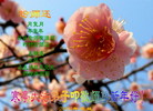 Published on 12/30/2005 ½󷨵ӹףȱΰʦãͼ