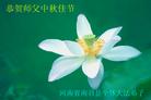 ½󷨵ӹףʦڿ֣
