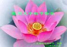½󷨵ӹףʦڿ֣