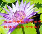 ½󷨵ӹףʦڿ֣