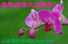 Published on 1/1/2006 ½ϱ󷨵ӹףȱΰʦãģ