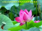 Published on 1/29/2006 ½󷨵ӹףʦũã壩