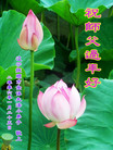 Published on 1/29/2006 ½󷨵ӹףʦũãģ