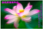 Published on 12/31/2006 ½󷨵ӹףʦ֣壩