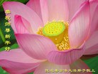 Published on 12/31/2006 ½󷨵ӹףʦ֣壩