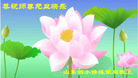 Published on 12/31/2006 ½󷨵ӹףʦ֣壩