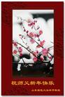 Published on 12/31/2006 ½󷨵ӹףʦ֣壩