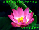Published on 12/31/2008 ½󷨵ӹףʦԪ֣ģ