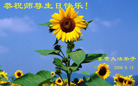 Published on 5/14/2008 ½󷨵ף編ִʦٳʮţ