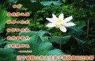 ֹ,½󷨵ӹףʦ֣ʮ22ҳ