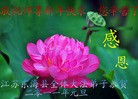 Published on 1/1/2012 ֹ,½󷨵ӹףʦԪ֣һ - ִ
