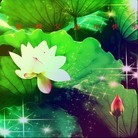 Published on 2/14/2013 ���ֹ�,��½�󷨵��ӹ�ףʦ������ã�45����
