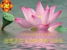 ֹ,ʡ󷨵ӹףʦã233أ - ִ
