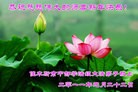 ֹ,ʡ󷨵ӹףʦã233أ - ִ

