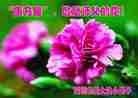 Published on 1/1/2012 ֹ,Сӹʦ - ִ
