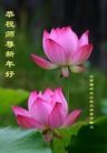Published on 1/1/2012 ֹ,½󷨵ӹףʦԪ֣ʮ - ִ
