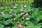 Published on 1/1/2012 ֹ,½󷨵ӹףʦԪ֣ģ - ִ
