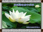 Published on 1/1/2012 ֹ,½󷨵ӹףʦԪ֣ģ - ִ
