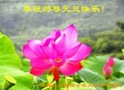 Published on 1/1/2012 ֹ,½󷨵ӹףʦԪ֣һ - ִ

