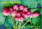Published on 1/1/2012 ֹ,½󷨵ӹףʦԪ֣ʮ - ִ
