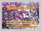 Published on 1/1/2012 ֹ,½󷨵ӹףʦԪ֣ʮ - ִ

