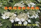 Published on 1/1/2012 ֹ,½󷨵ӹףʦԪ֣ʮ - ִ
